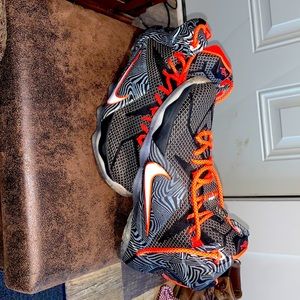 Lebron 12 "Court Vision”